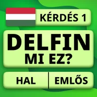 QuizzLand: Kérdések & Válaszok